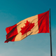 Image for article titled The Best Canadian Brands to Wear While Watching "Schitt's Creek"